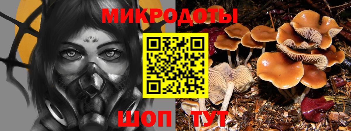 купить наркоту  Вход с VPN  Алексин  Галлюциногенные грибы ЛСД  Псилоцибиновые грибы мицелий 